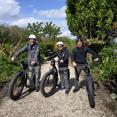 trottinette electrique
